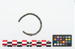 Foto von Bronzenietarmring (NHMW-PRAE-025172)